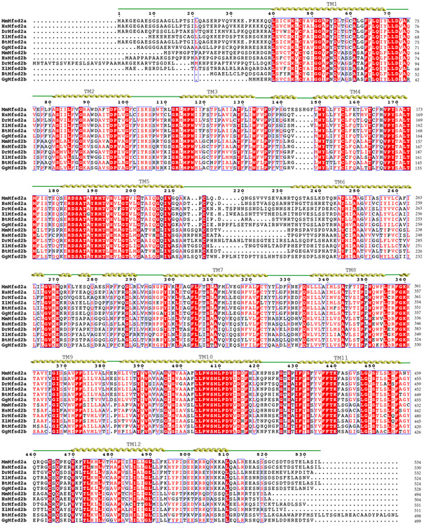 Extended Data Figure 1.