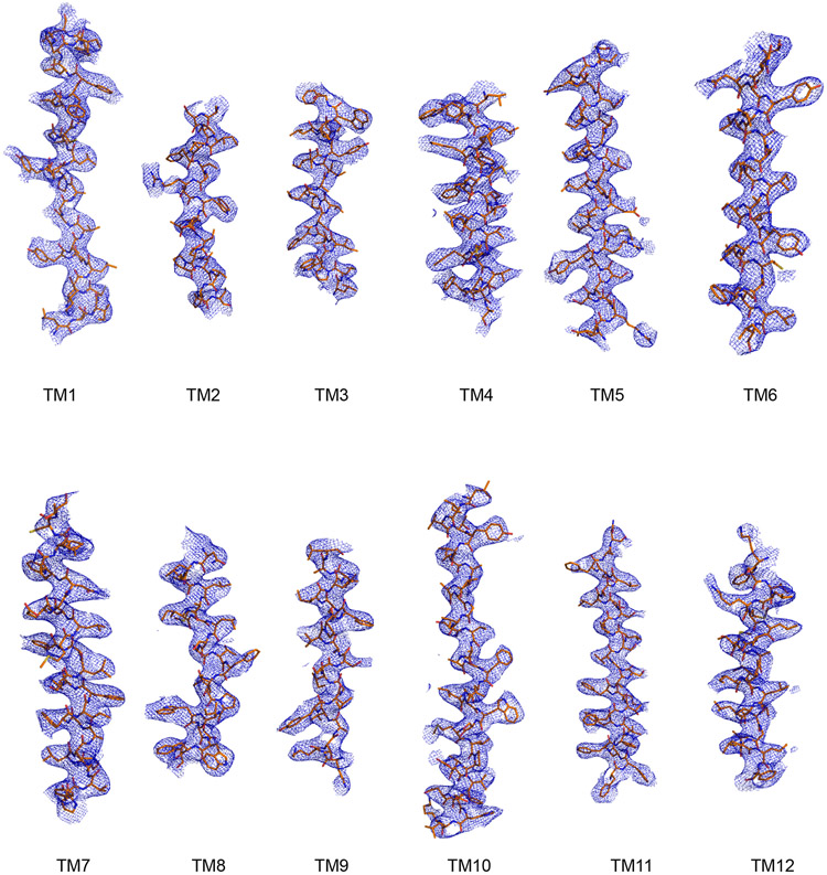 Extended Data Figure 4.