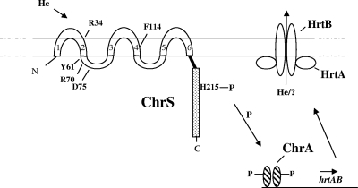 FIG. 6.