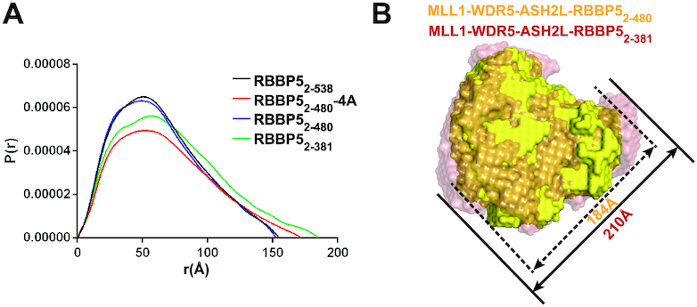 Figure 5.