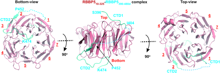 Figure 3.