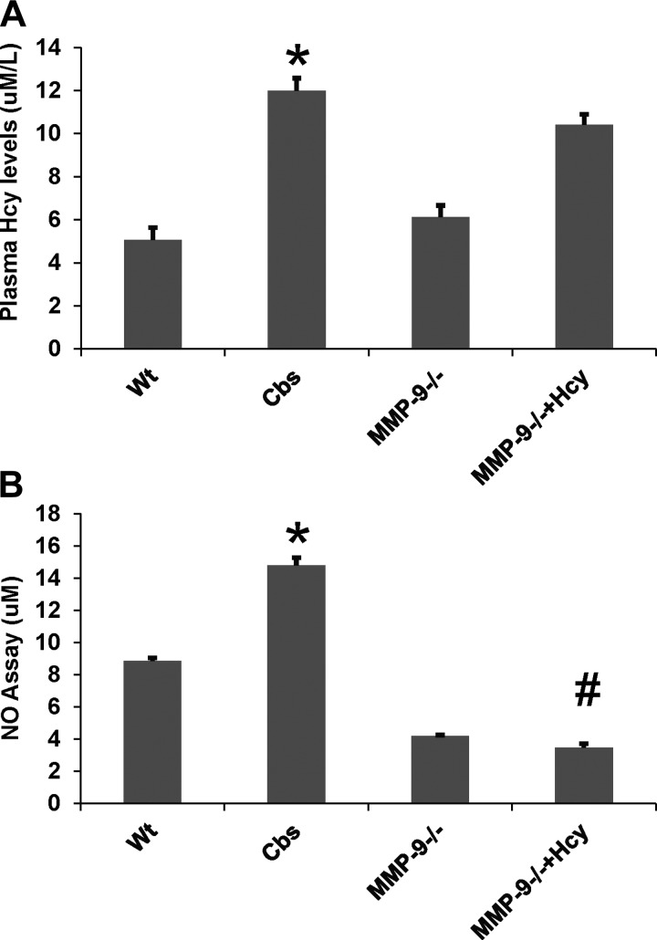 Fig. 13.