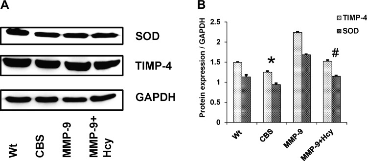 Fig. 10.