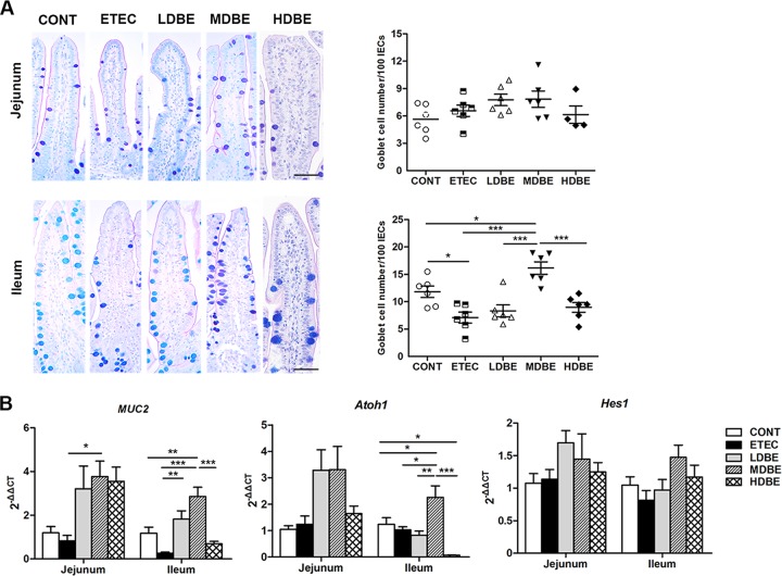 FIG 6