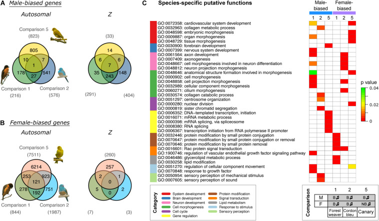 FIGURE 3