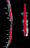 F<sc>ig</sc> 4.