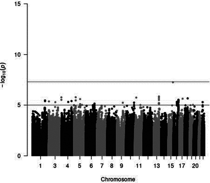 Fig. 4.