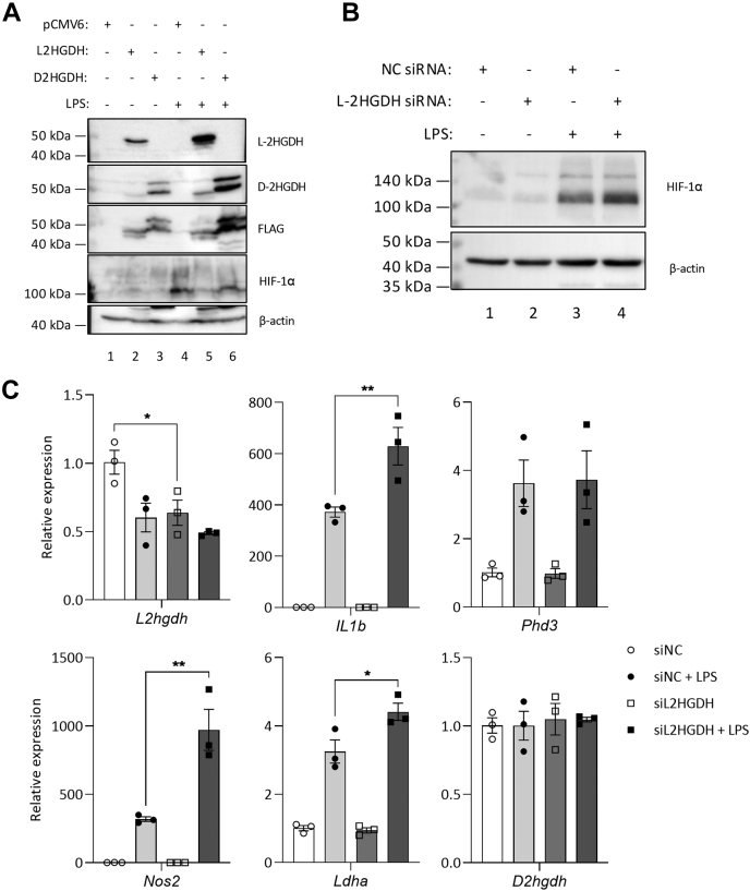 Figure 5