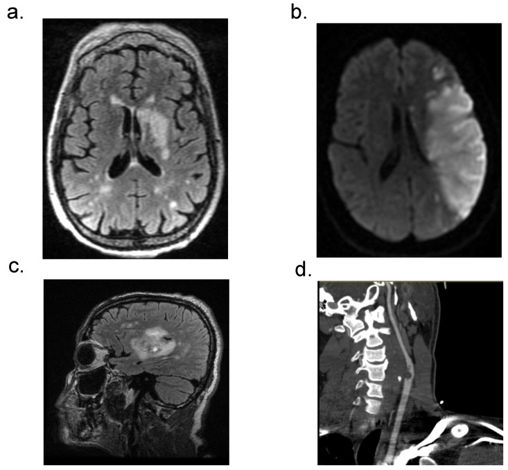 Figure 2