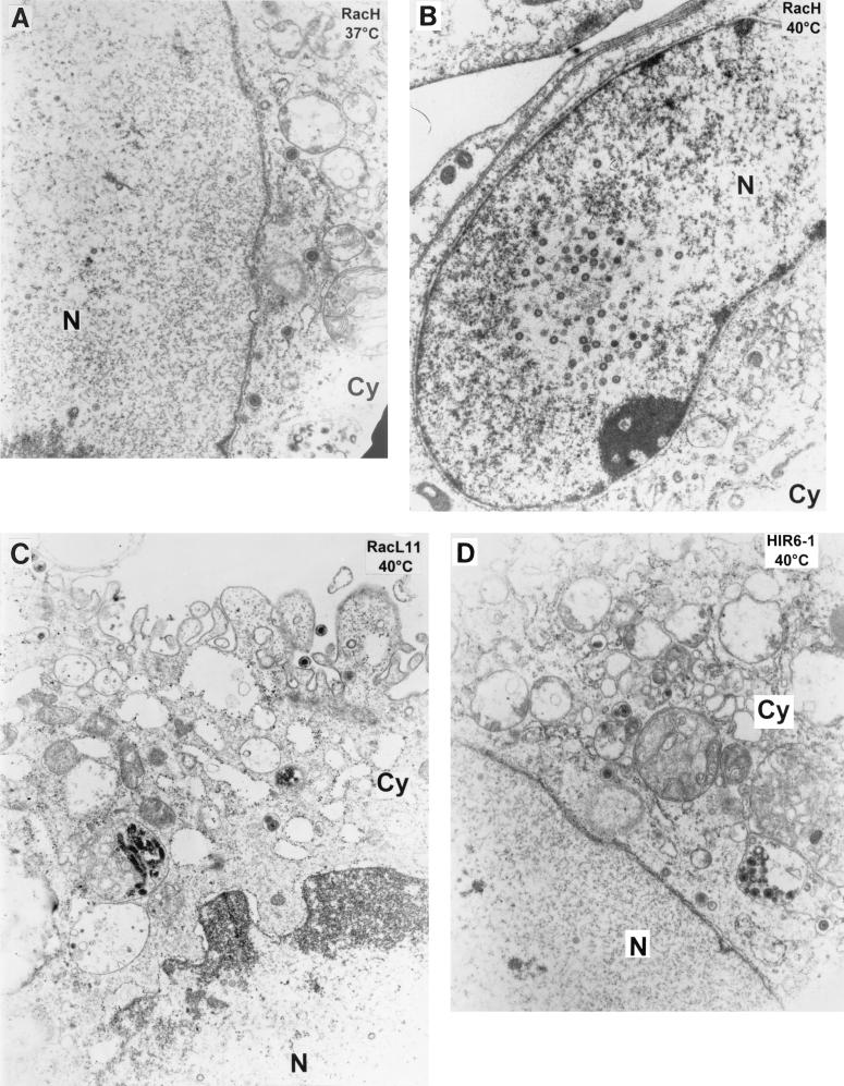 FIG. 5