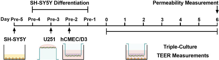 Figure 9.