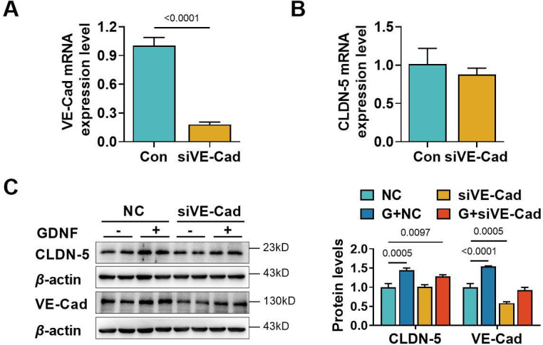 Figure 4—figure supplement 1.