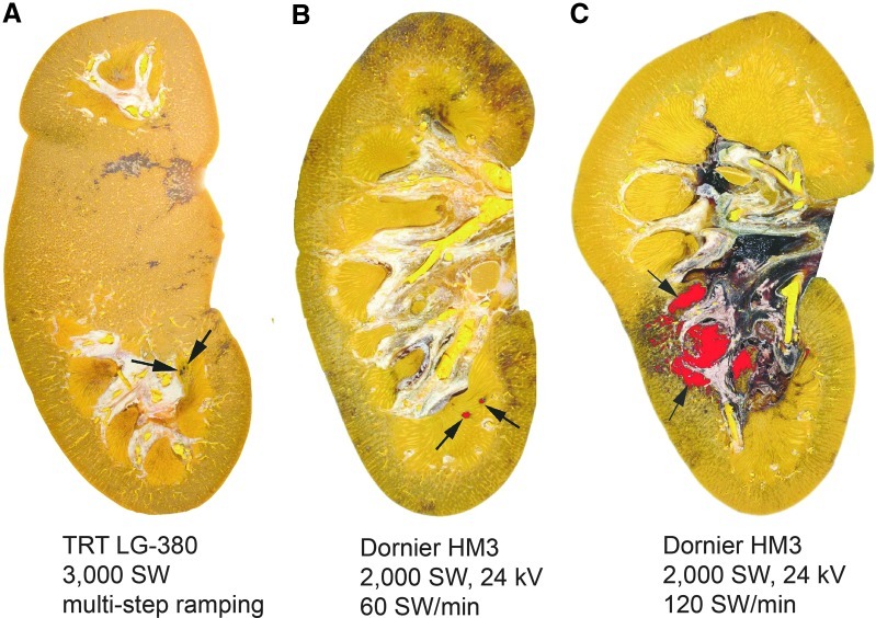 FIG. 7.