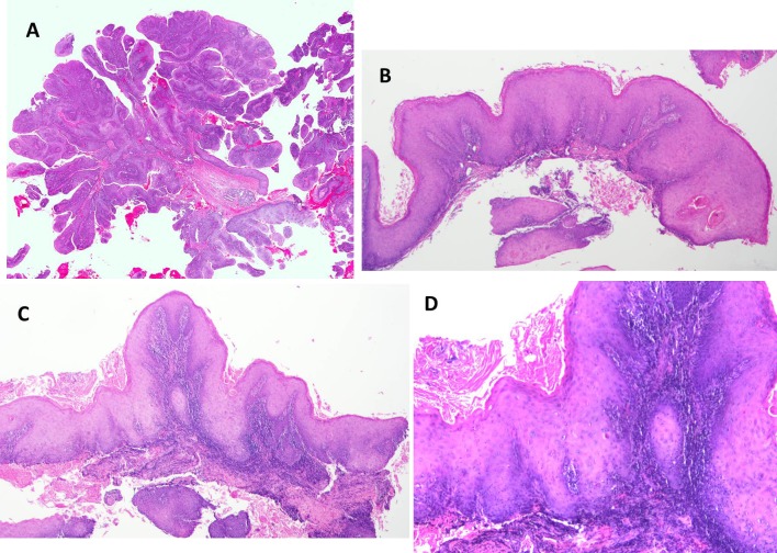 Fig. 3