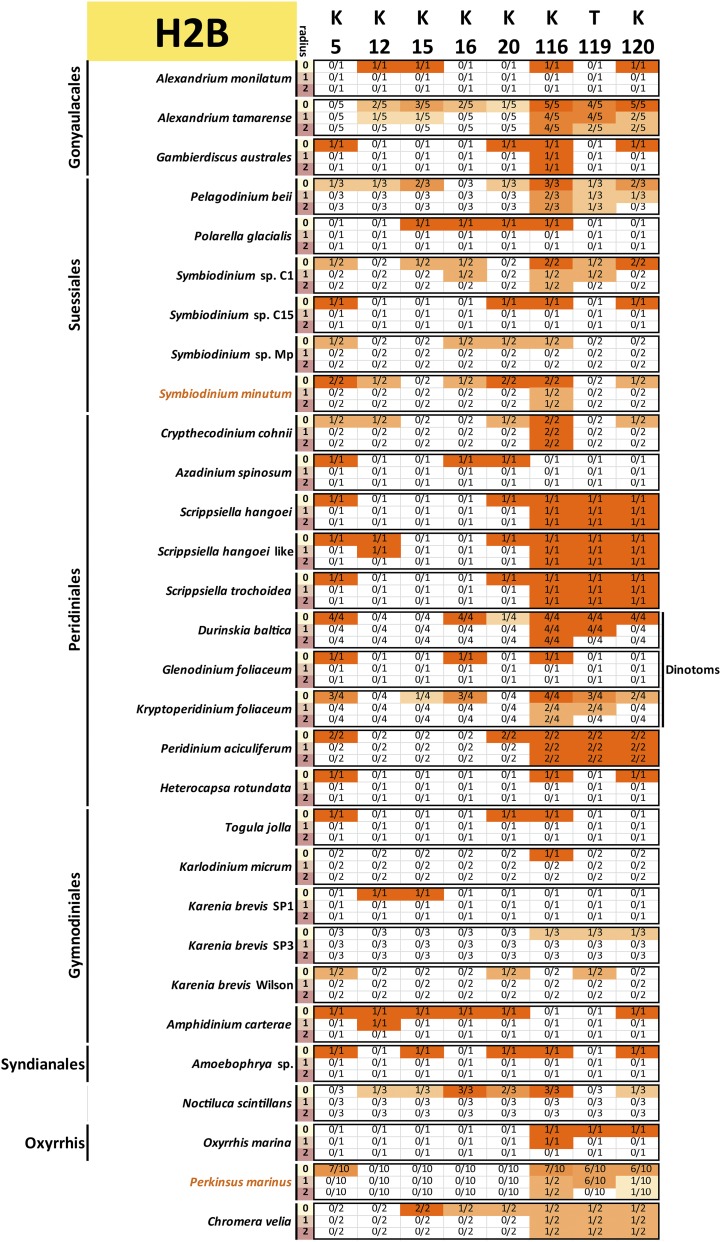 Figure 12