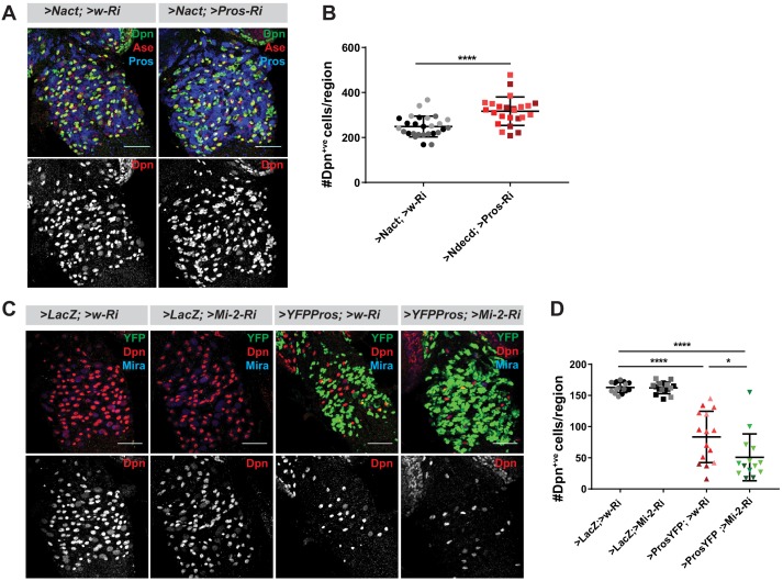 Figure 6—figure supplement 1.