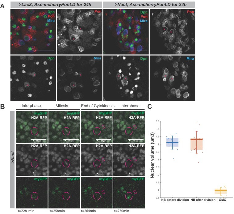 Figure 1—figure supplement 2.