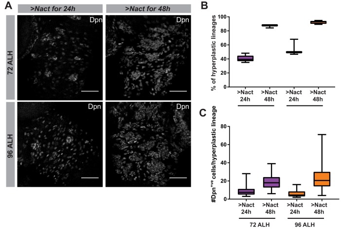 Figure 1—figure supplement 3.