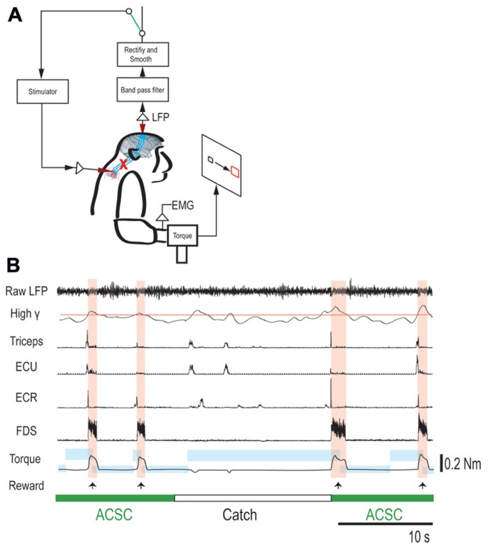 FIGURE 3