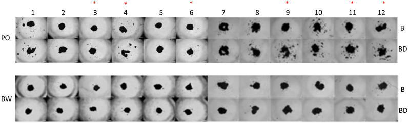 Figure 4—figure supplement 1.