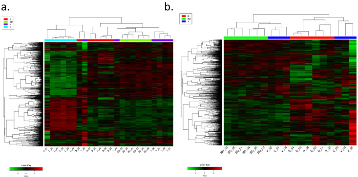 Figure 3—figure supplement 2.