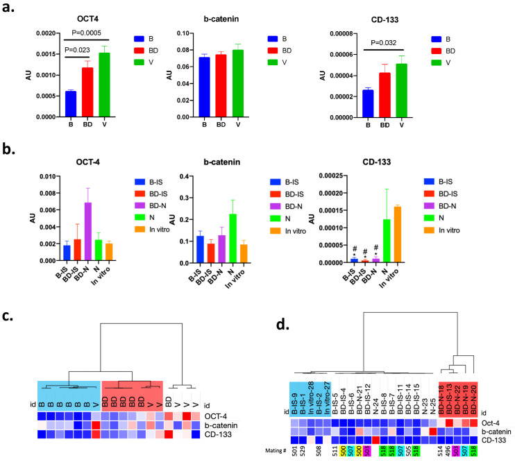 Figure 3—figure supplement 1.