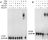 FIG. 7
