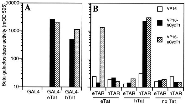 FIG. 6