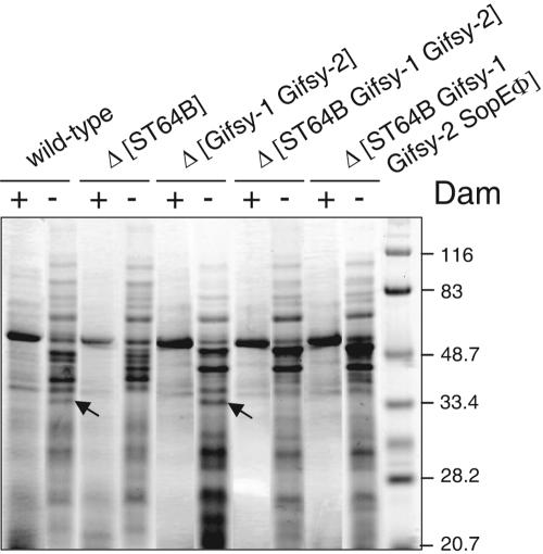 FIG. 6.