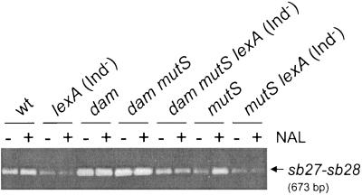 FIG. 5.