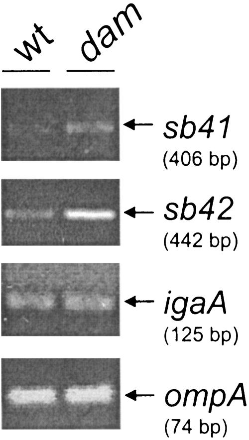 FIG. 4.