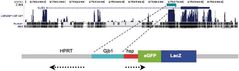 Figure 1.