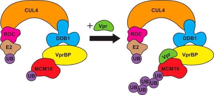 FIGURE 7.