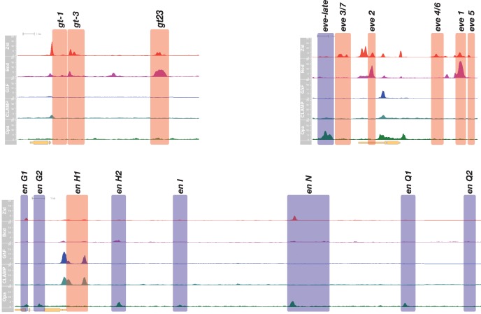 Figure 1—figure supplement 1.