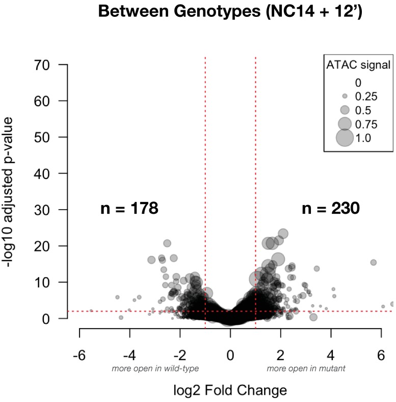 Figure 3—figure supplement 1.