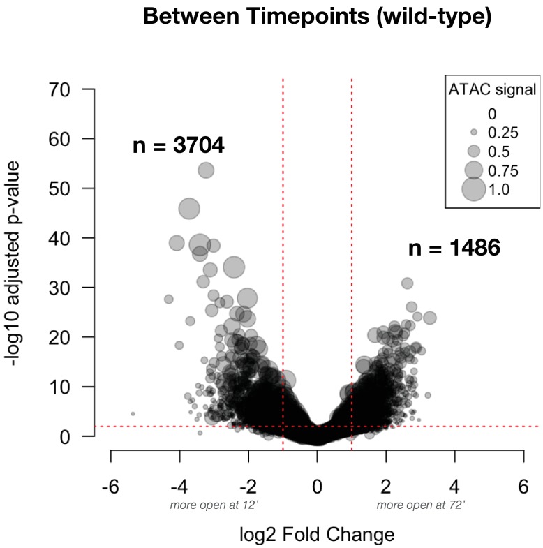 Figure 3—figure supplement 3.