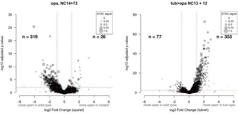 Figure 5—figure supplement 2.