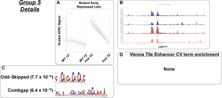 Figure 4—figure supplement 5.