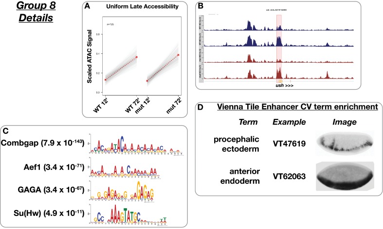 Figure 4—figure supplement 8.