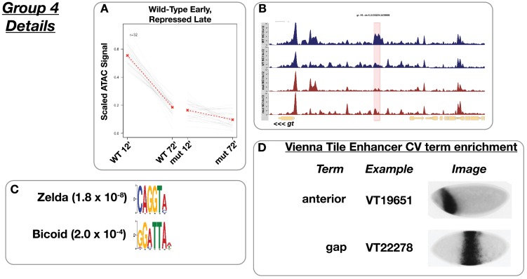 Figure 4—figure supplement 4.