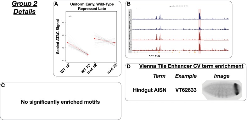 Figure 4—figure supplement 2.