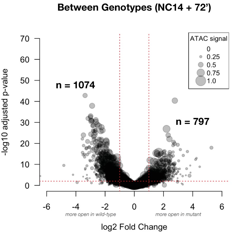 Figure 3—figure supplement 2.