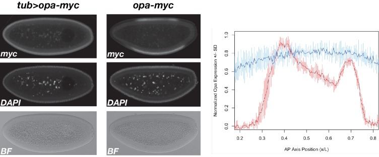 Figure 5—figure supplement 4.