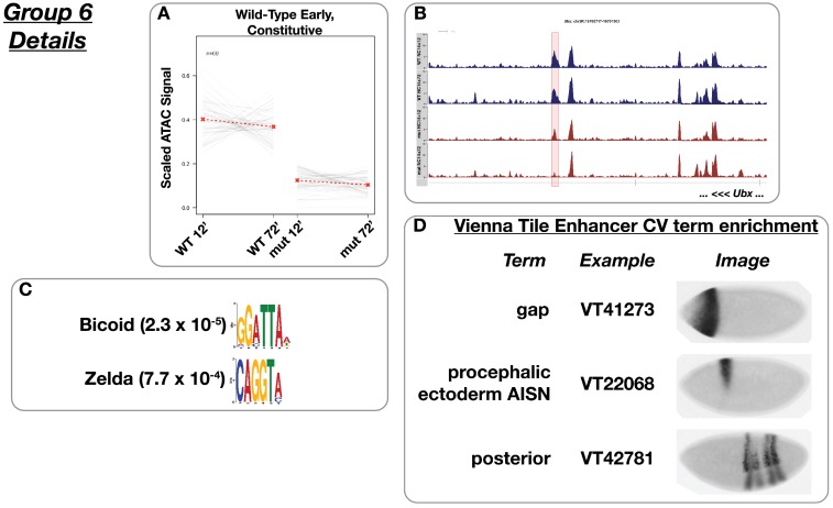 Figure 4—figure supplement 6.