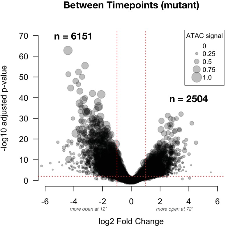 Figure 3—figure supplement 4.