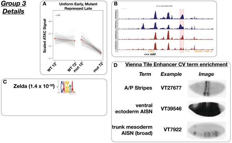 Figure 4—figure supplement 3.