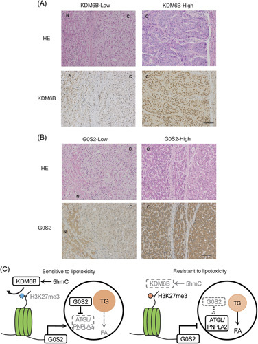 FIGURE 6