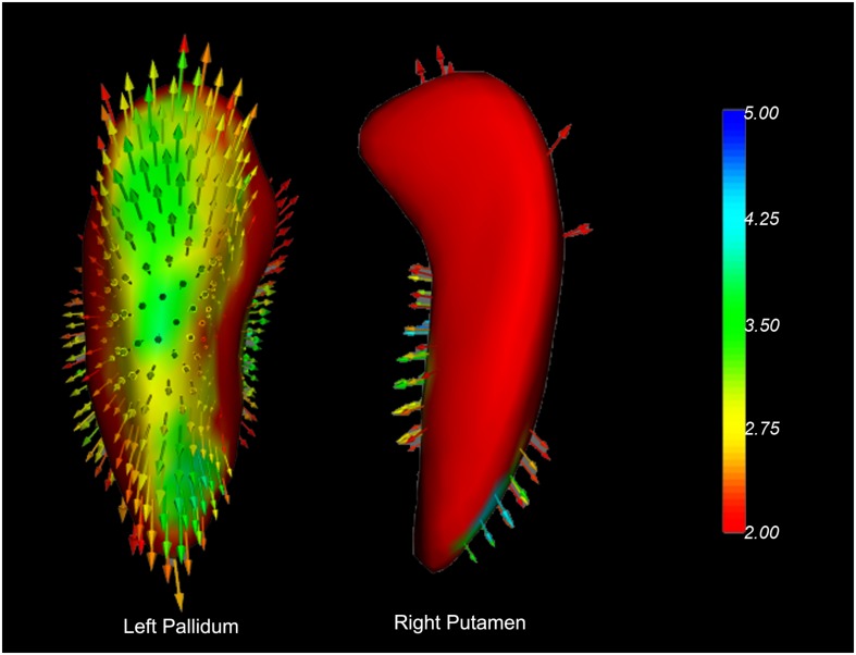 FIGURE 4