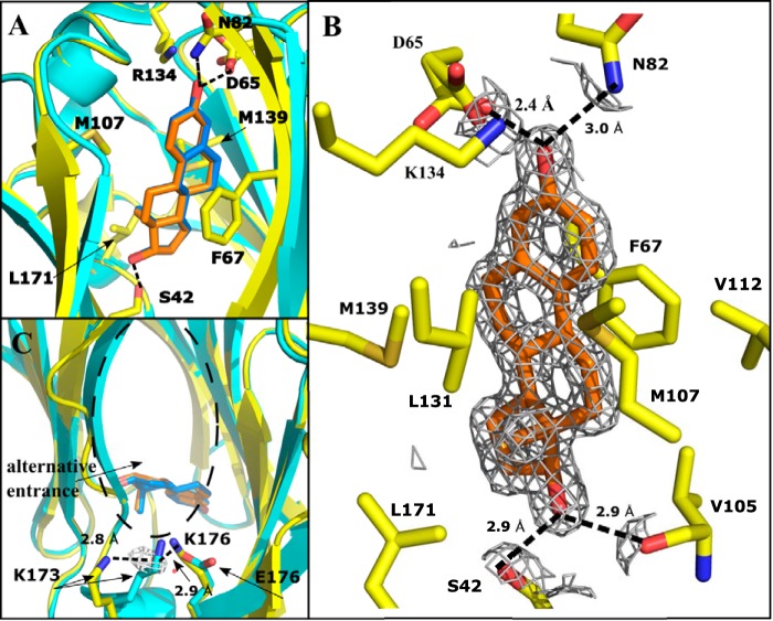 Figure 2.