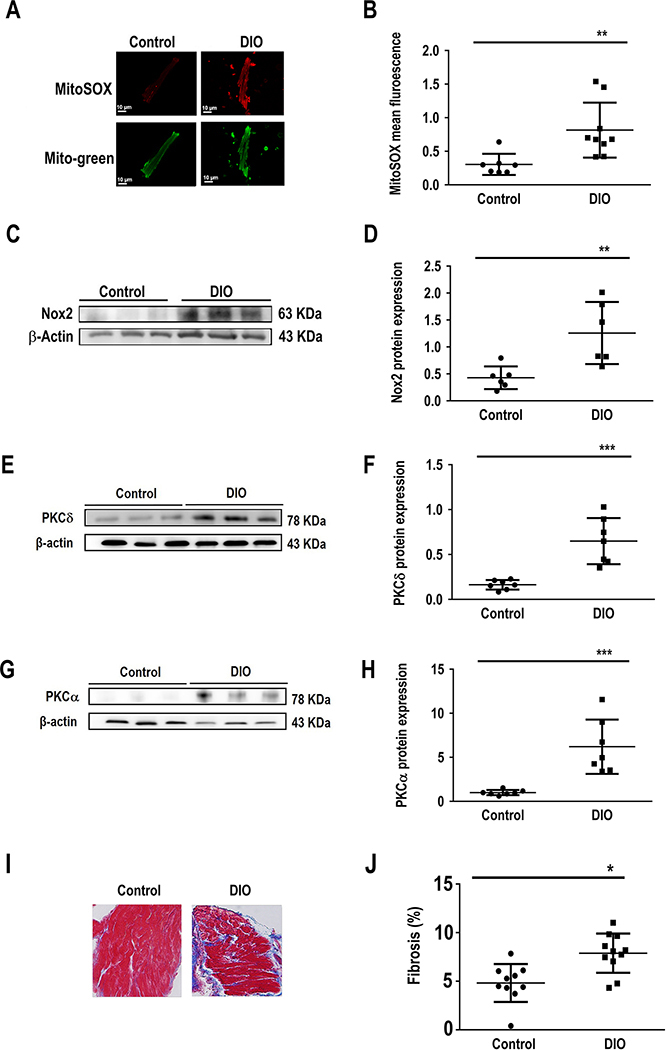 Figure 5: